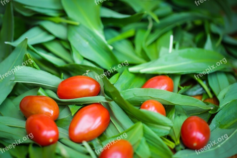 Bear's Garlic Allium Ursinum Food Vegetables Leaf