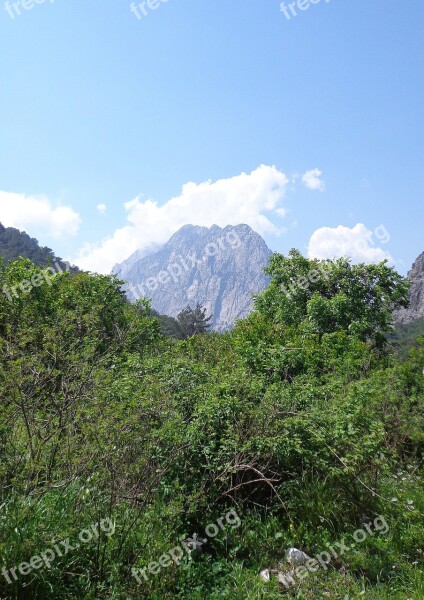 Nature Landscape Tree Wood Mountain