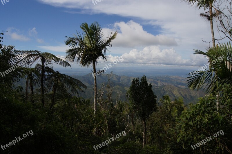 Santiago De Cuba Mountains Hiking Palm Nature