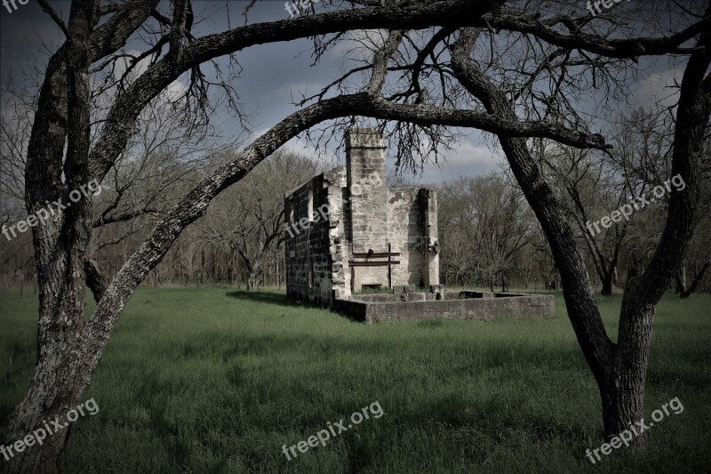 Tree Outdoors Nature Landscape Grass