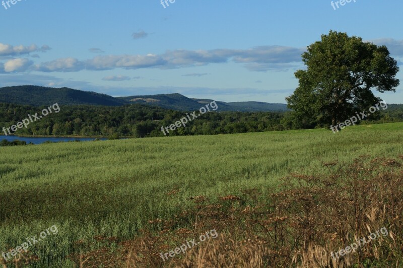 Landscape Panoramic Nature Sky Tree