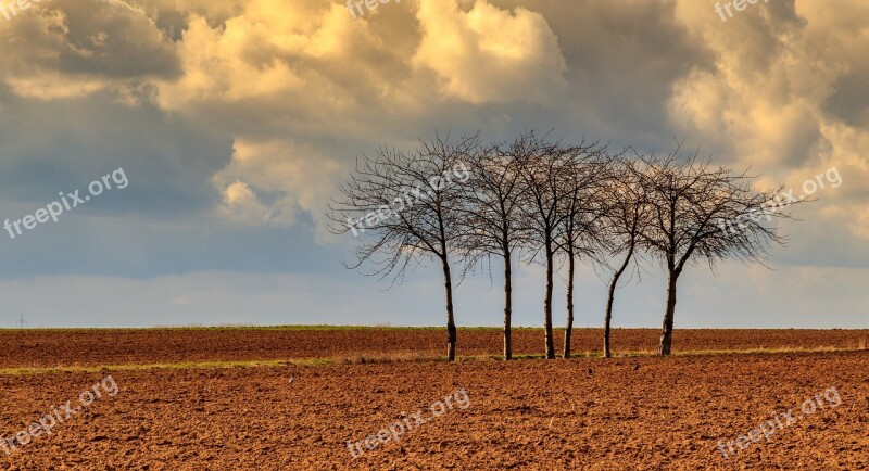 Nature Panorama Landscape Sky Dawn