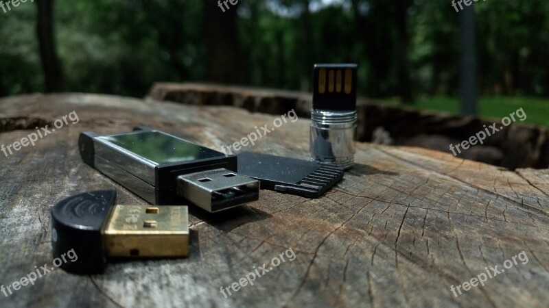 Wood Outdoors Usb Flash Drive Usb Stick