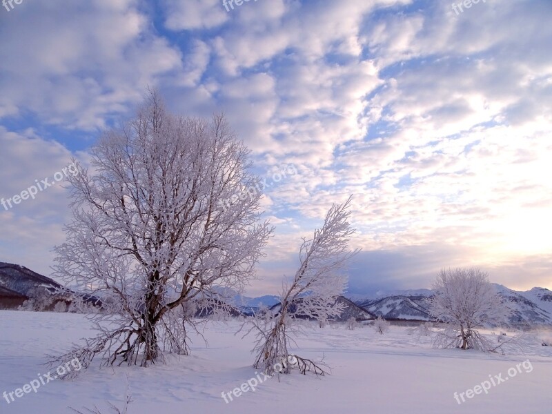 Sunrise Dawn Morning Frost Winter