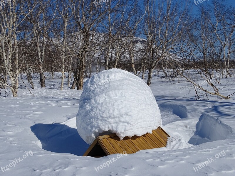 Winter Morning Forest Cottage Snowdrift Snow Cap