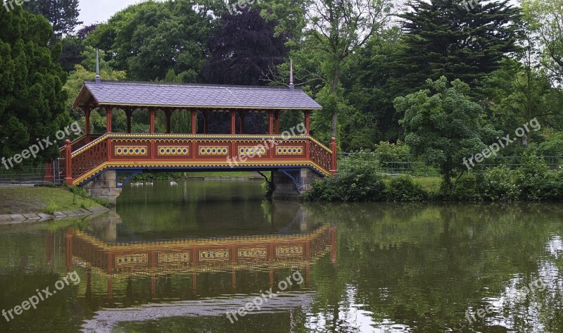 Water Marquee Tree Lake Outdoors