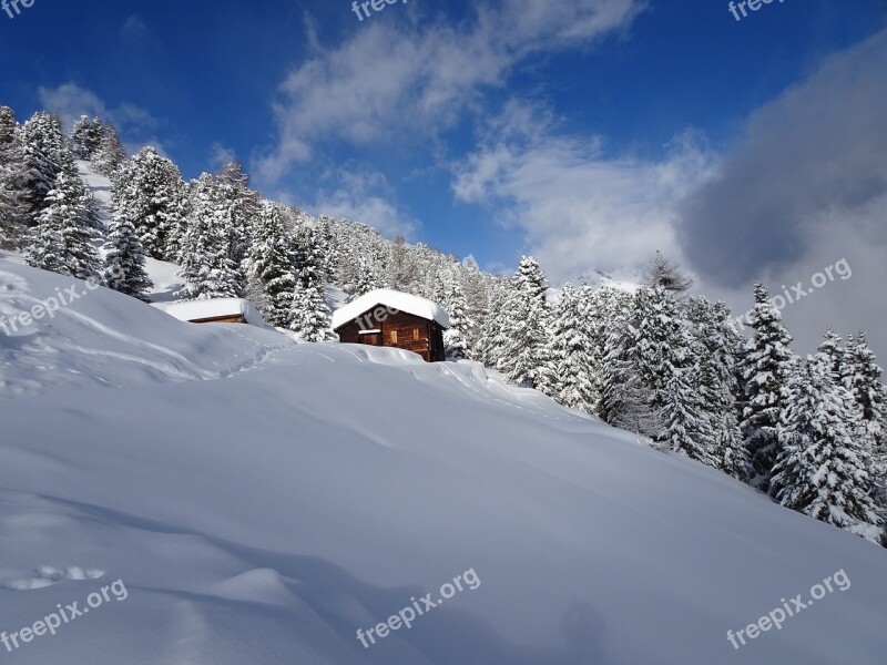 Winter Cold White Snow Landscape