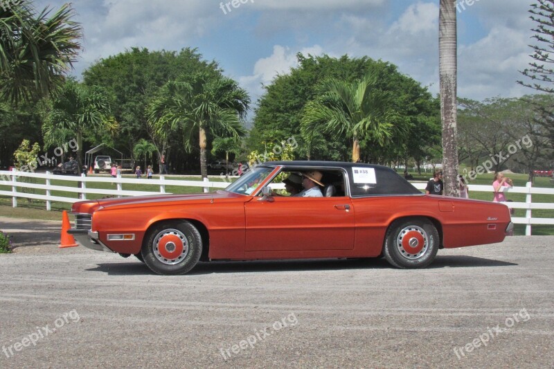 Ford Thunderbird Antique Orange Old