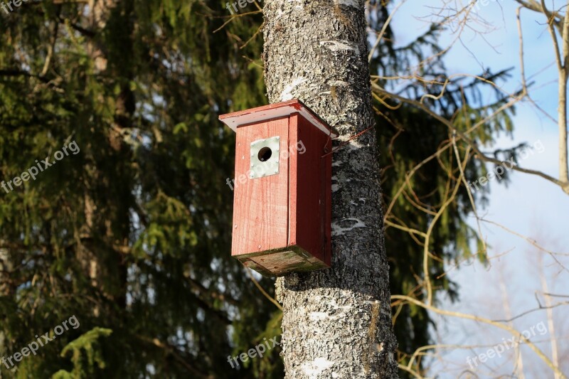 Tree Nature Birdhouse Free Photos