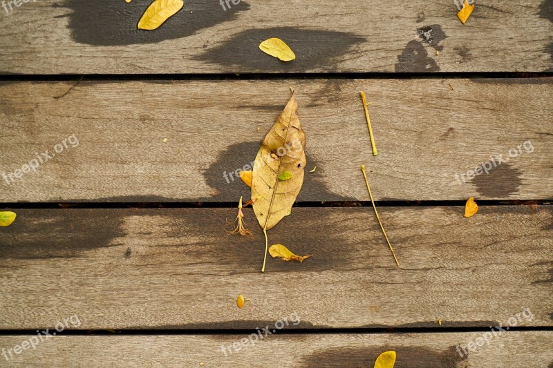 Wood-fibre Boards Wood Wallpaper Old Wall