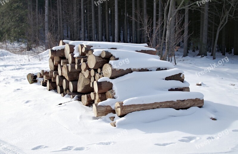 Pile Of Wood Tree Fuel Winter Snow