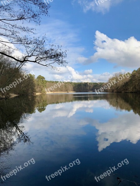 Reflection Waters Lake Tree Nature