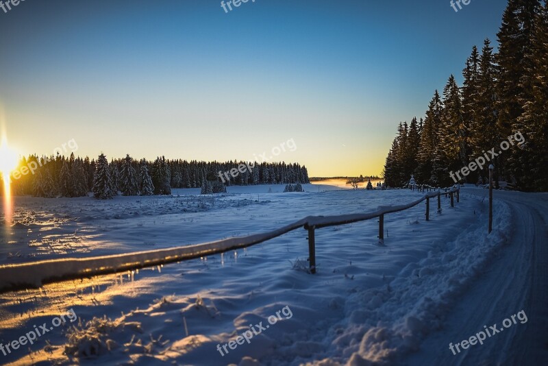 Winter Wonderland Snow Frost White