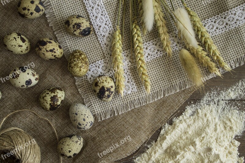 Background Fabric Cotton Wheat Eggs