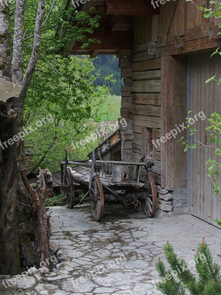 Wood Woods Tree Nature Old