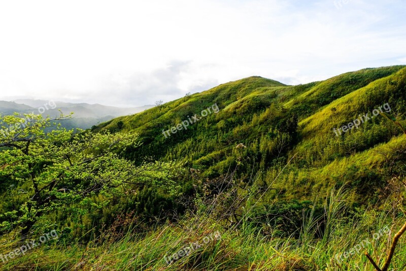 Nature Landscape Panoramic Hill Grass