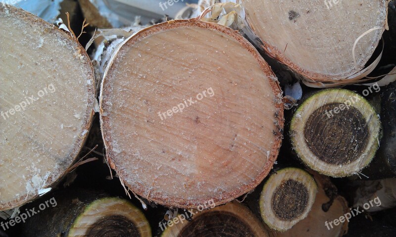 Firewood Birch Manchzhursky Walnut Wood Industry