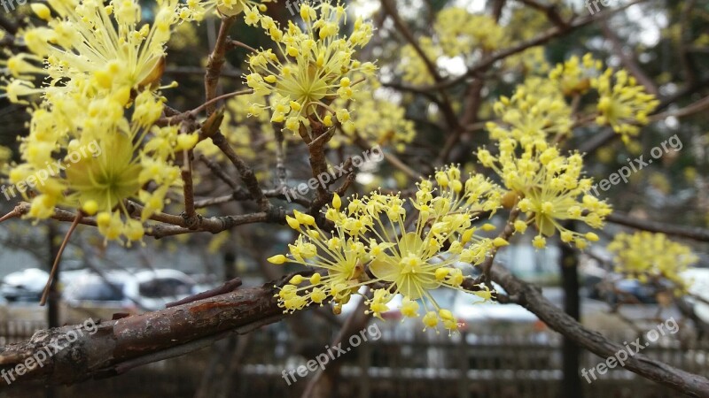 Nature Wood Plants Quarter Outdoors