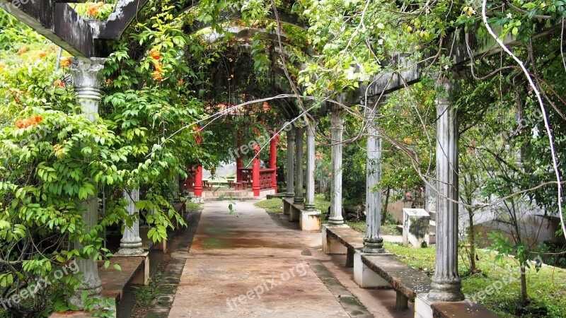 Garden Nature Tree Footpath Flora