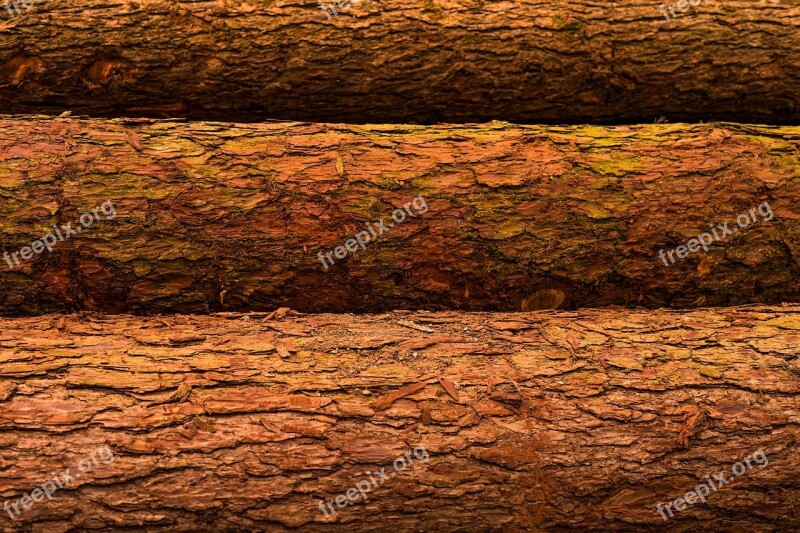 Background Surface Wood Texture Nature