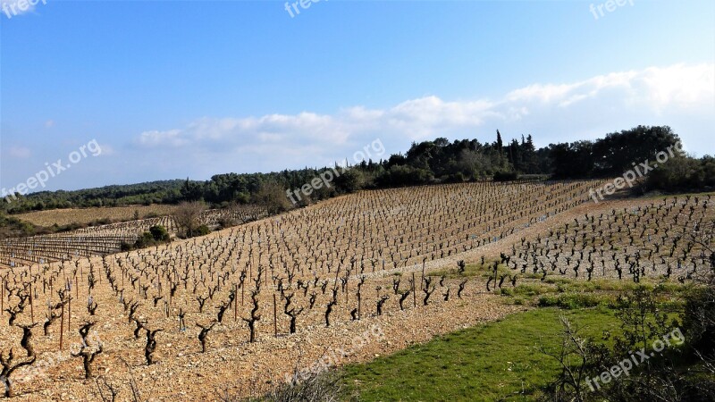 Agro-industry France Aude Nature No Person