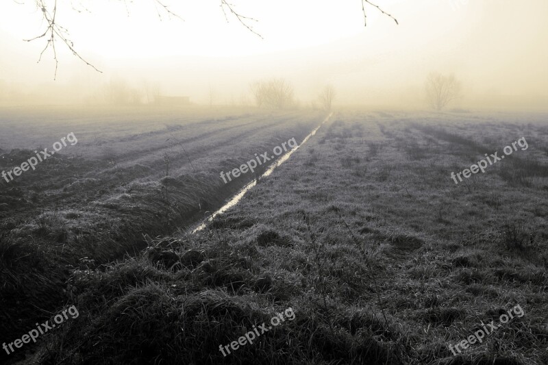 Fog Nature Wide Moor Teufelsmoor