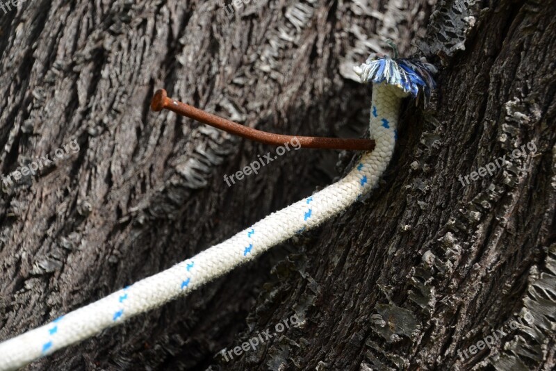 Nailed Rope Nail Tree Free Photos