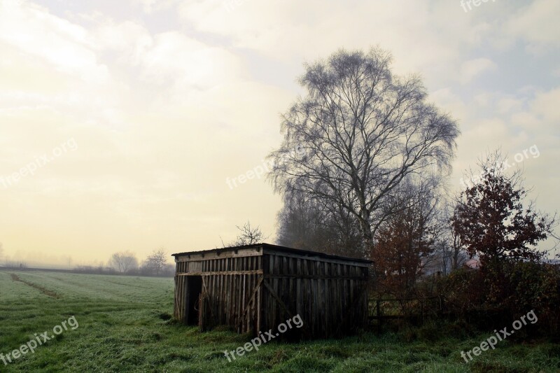 Tree Nature Grass Landscape Wood Moor