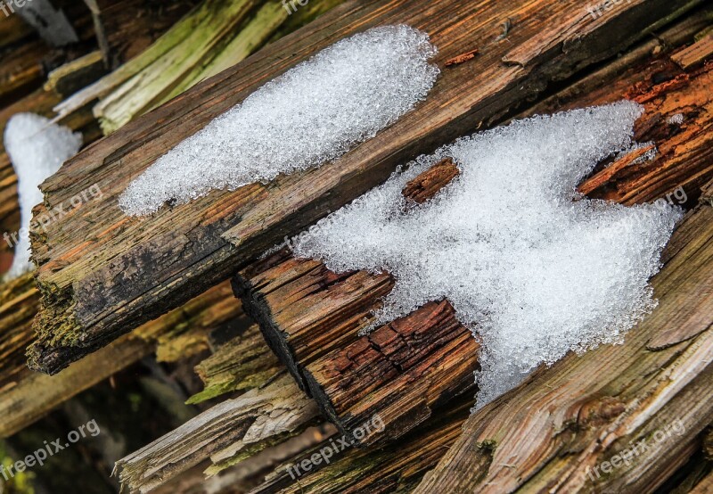 Wood Nature Woods Snow Weathered