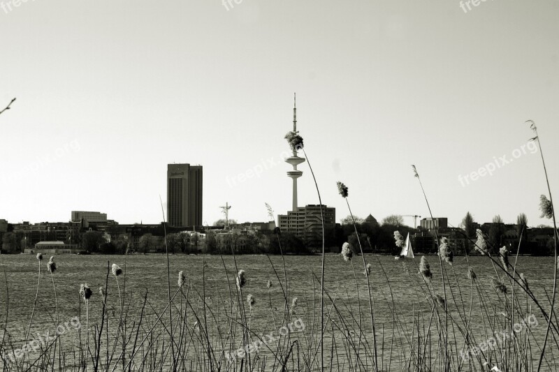 Alster Hamburg Hanseatic City Of Hamburg Hamburgensien Walk In The Park