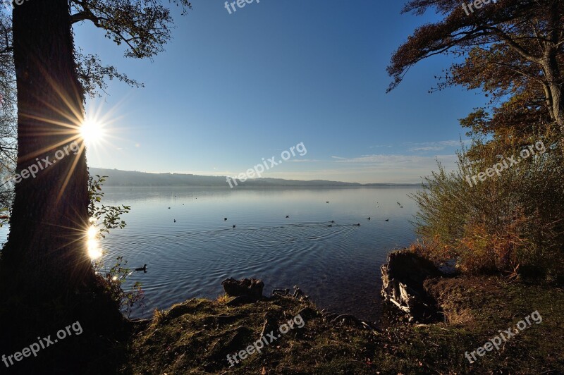 Sempachersee Sunset Nature Dawn Waters