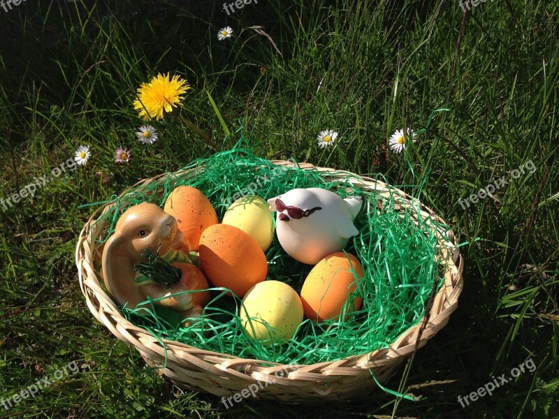 Basket Easter Grass Nest Nature