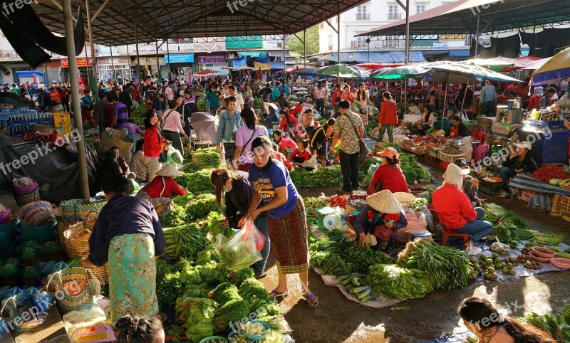 Fruit Vegetable Homegrown Market Shopping