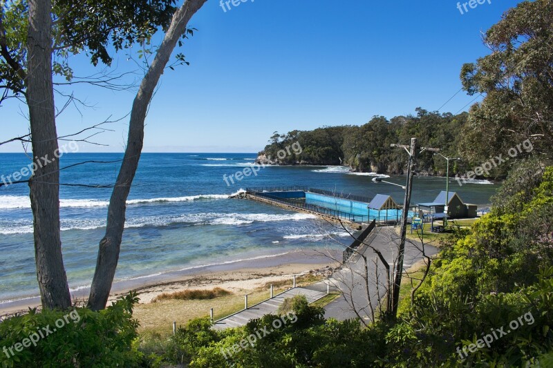 Water Seashore Nature Tree Sea