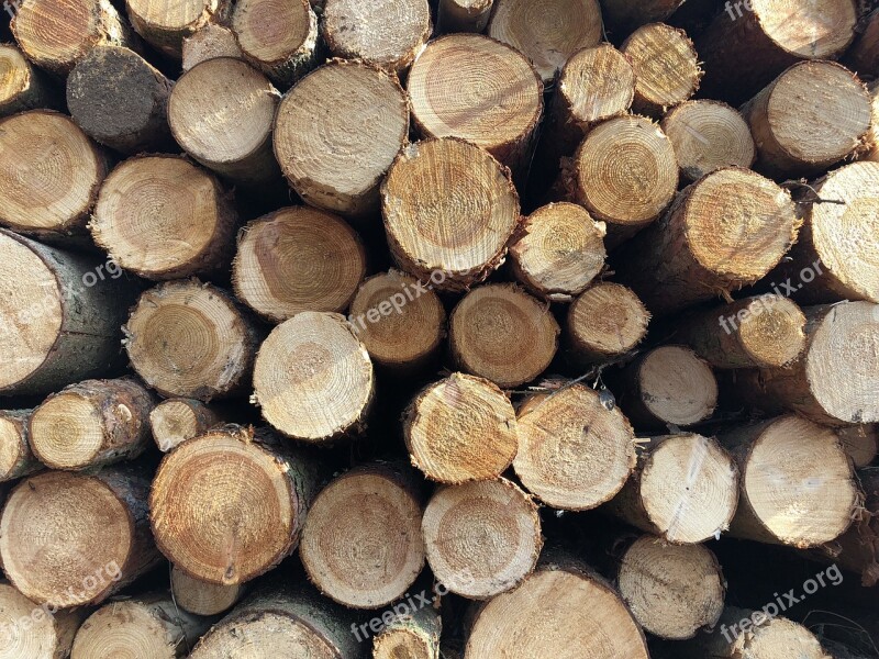 Firewood Woodpile Pile Tree Log Wood