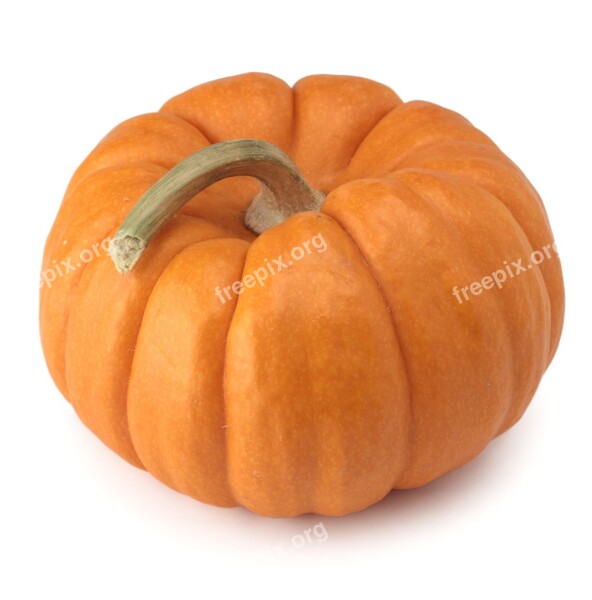 Pumpkin Halloween Thanksgiving Fall Gourd