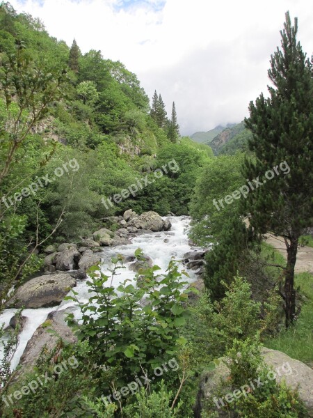 Nature Landscape Wood Tree Body Of Water