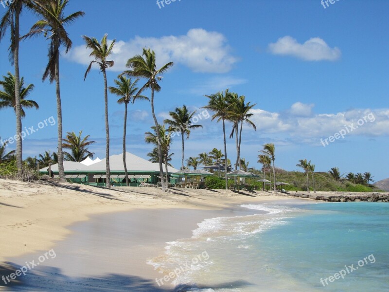 Beach Sand Arecaceae Coastal Free Photos