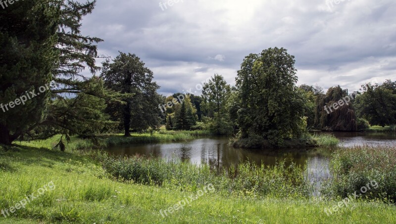 Nature Tree Grass Landscape Waters