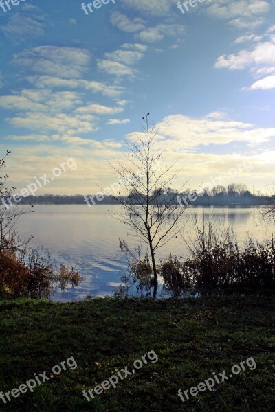 Landscape Nature Waters Panorama Tree