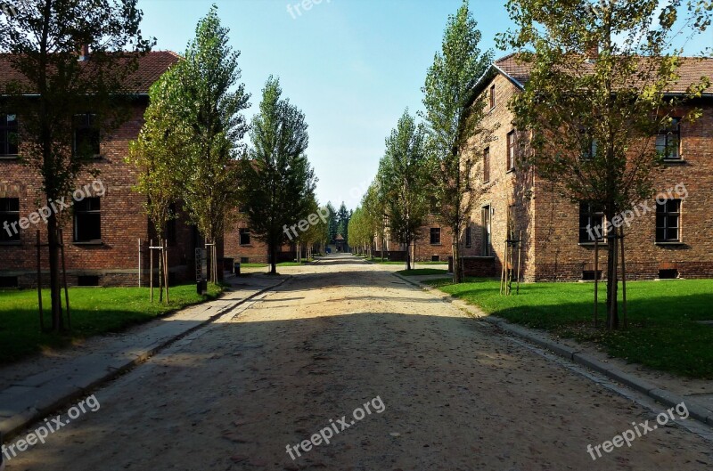 Tree Architecture Outdoor Roadway Street