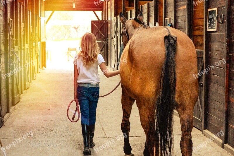 Horse Horses Stables Farm Ranch