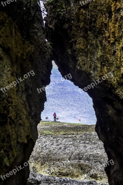 Nature Outdoors Travel Tree Rock