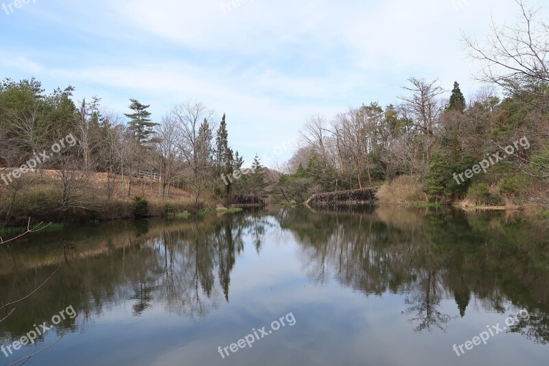 Waters Natural Reflection River Wood