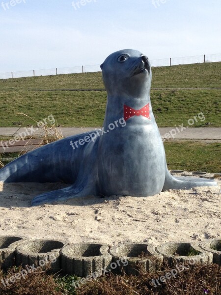 Sea Nature Seal North Sea Coast