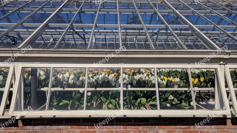 Glass Items Greenhouse Window Roof Modern