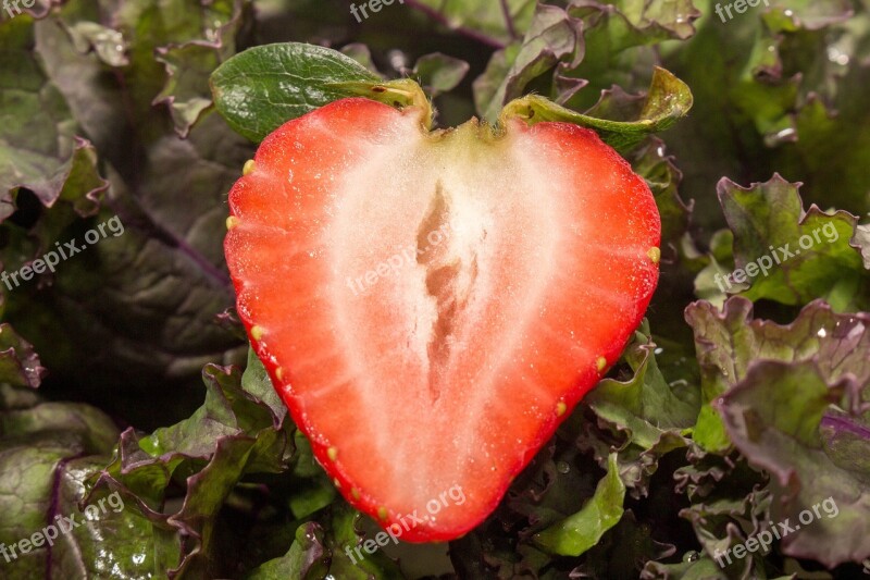 Strawberry Food Fruit Nature Leaf