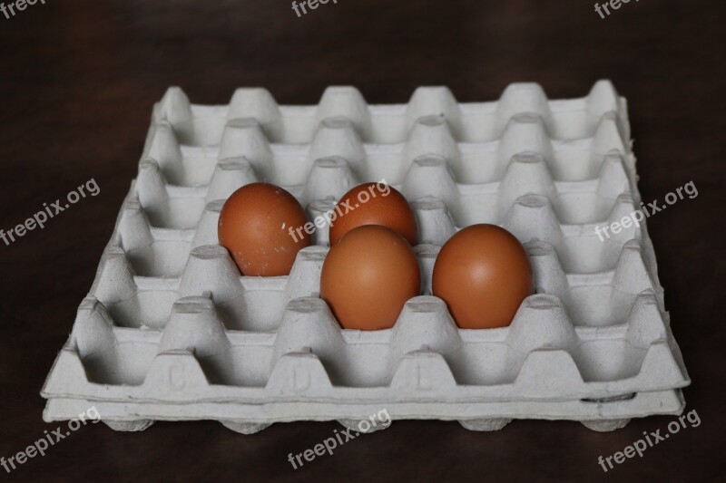 Egg Egg Tray Kitchen Egg Of Hens Easter