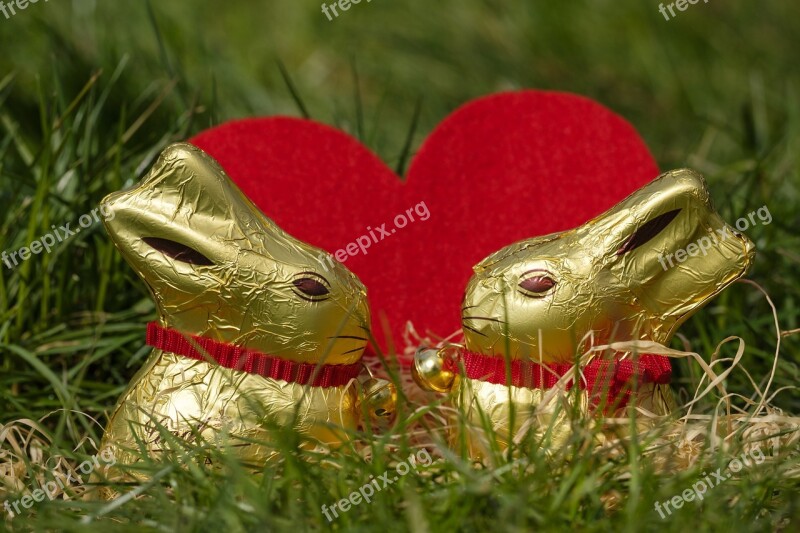 Hare Easter Bunny Easter Figure Chocolate