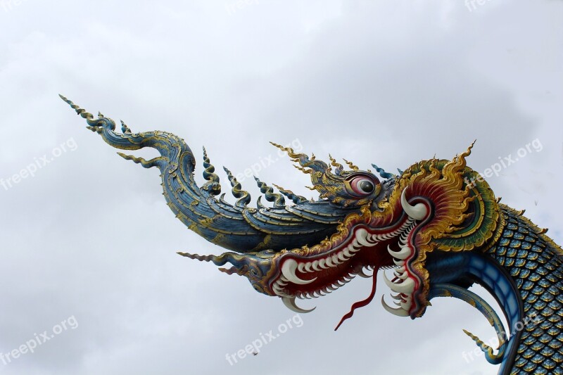 Animal Nature Dragon Thailand Temple